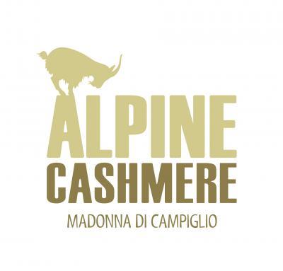 AlpineCashmerePos-1449139843.jpg