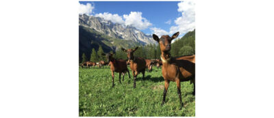 Società agricola Mont Blanc