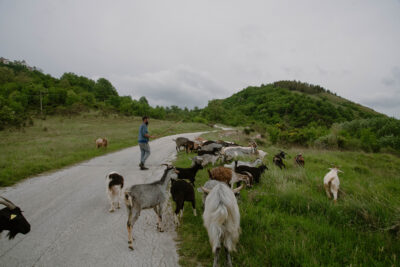 La-transumanza_1-copy