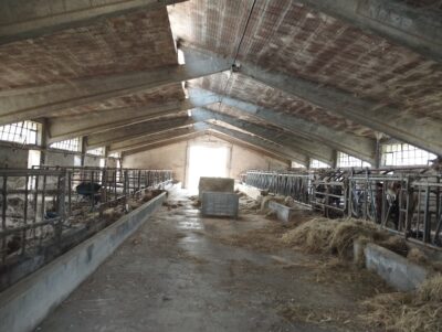 Interno-stalla-1