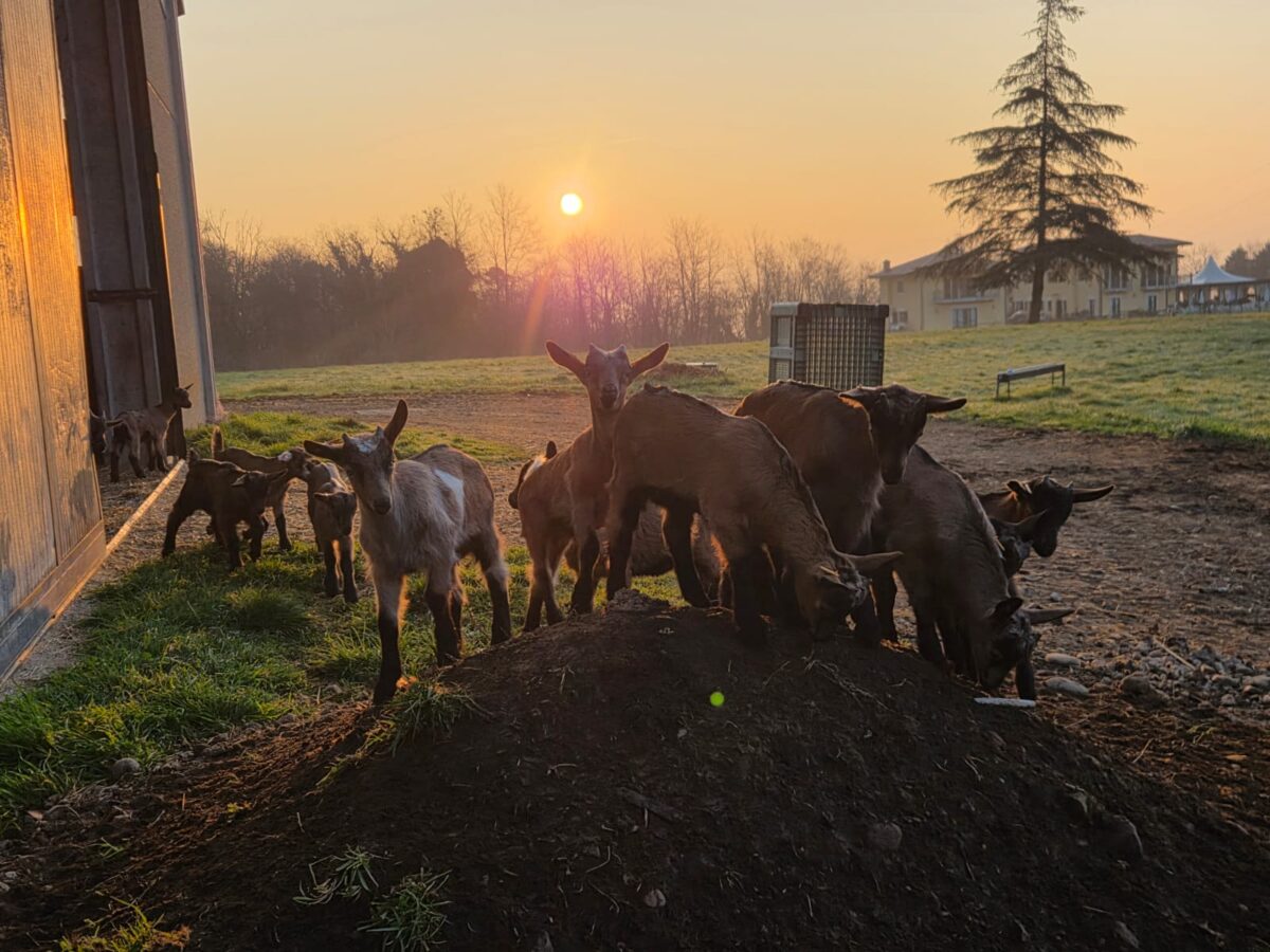 WhatsApp-Image-2026-03-12-at-10.53.43-1