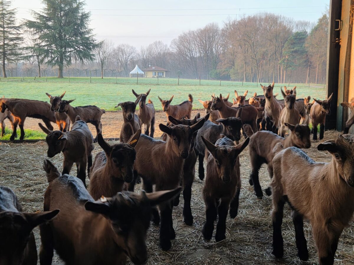 WhatsApp-Image-2026-03-12-at-10.53.43