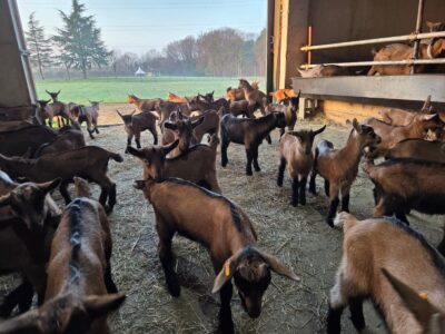 WhatsApp-Image-2026-03-12-at-10.53.43-2