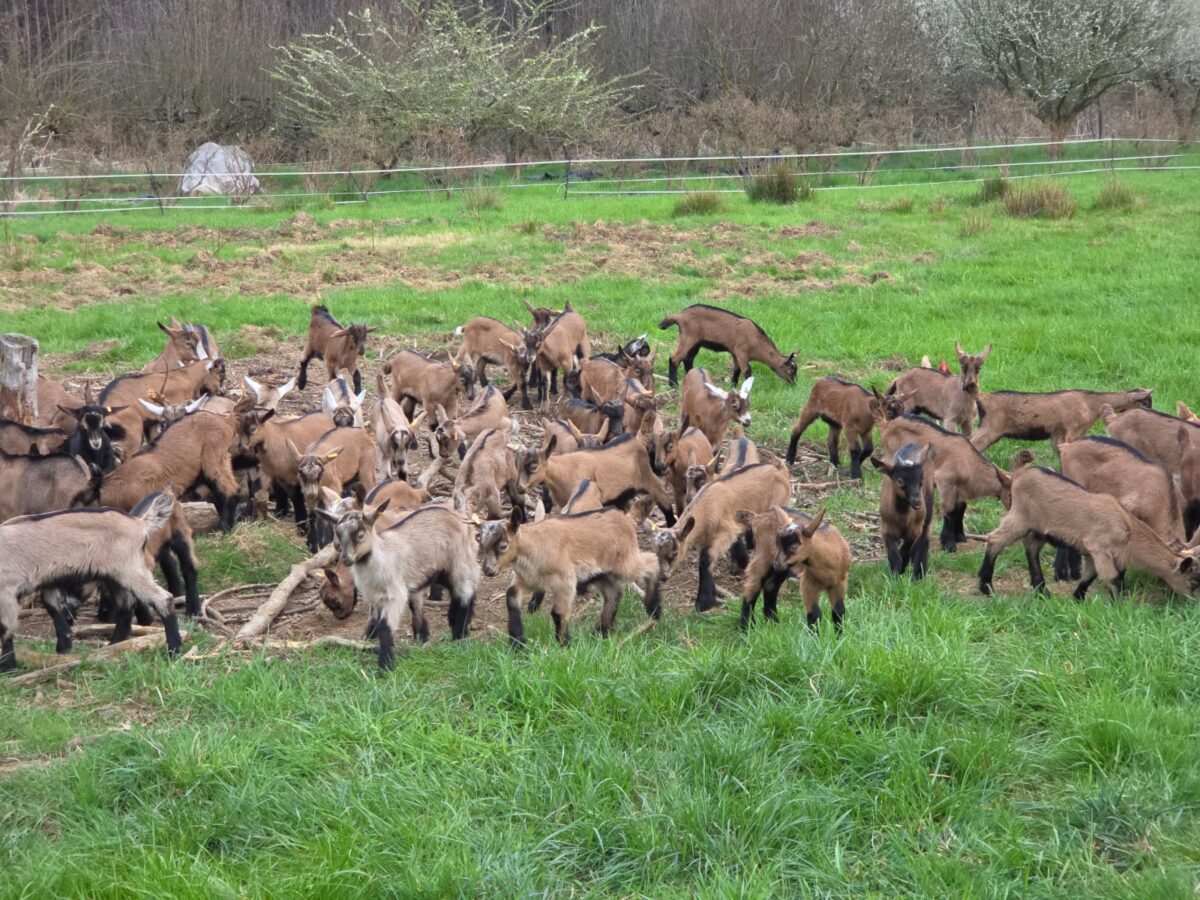 WhatsApp-Image-2026-03-12-at-10.53.43-3