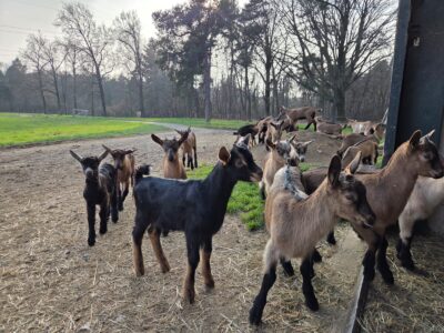 WhatsApp-Image-2026-03-12-at-10.53.44